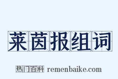 莱茵报组词是什么意思的图片